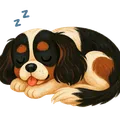 Gatsby — Sleepy