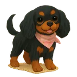 Tachi wearing: Bandana