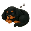 Tachi — Sleepy